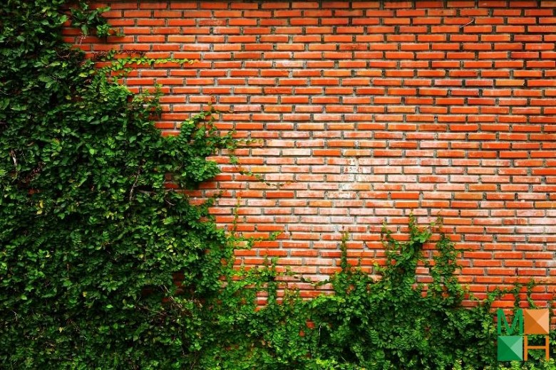 Tranh dán tường Hàn Quốc 3d khổ lớn ở Hà Nội NA - 008